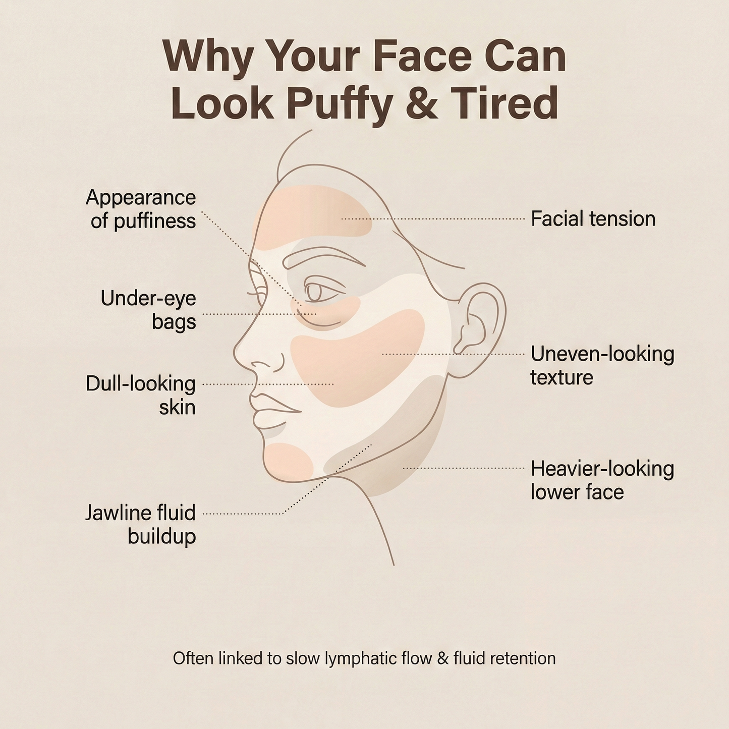 Lymora-Lymphatic Face Brush