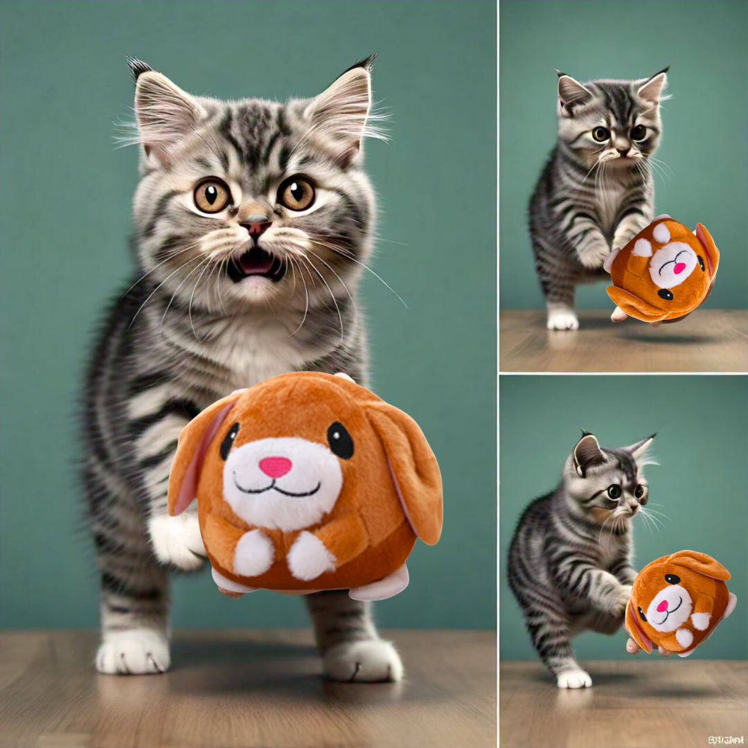FluffyBounce™ - Pet Toy
