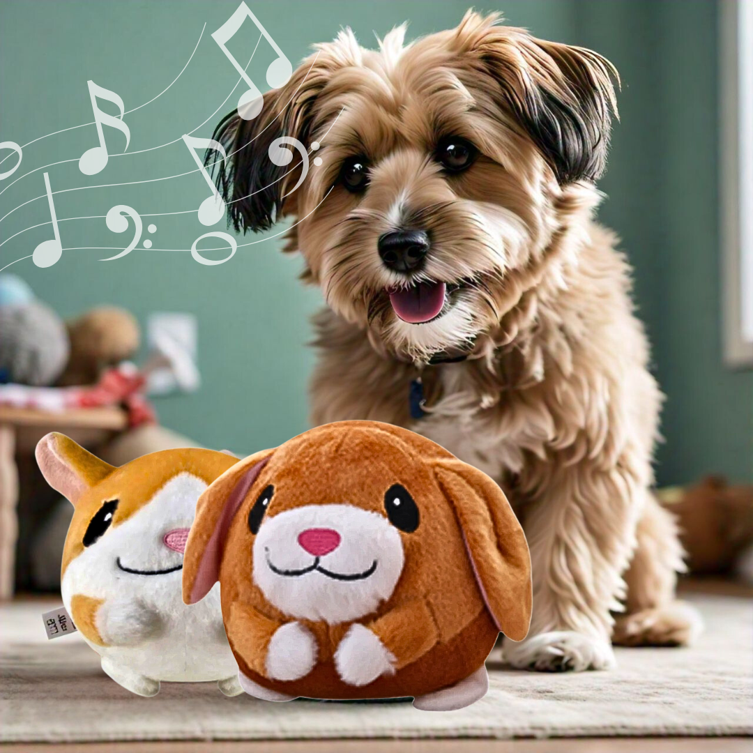 FluffyBounce™ - Pet Toy