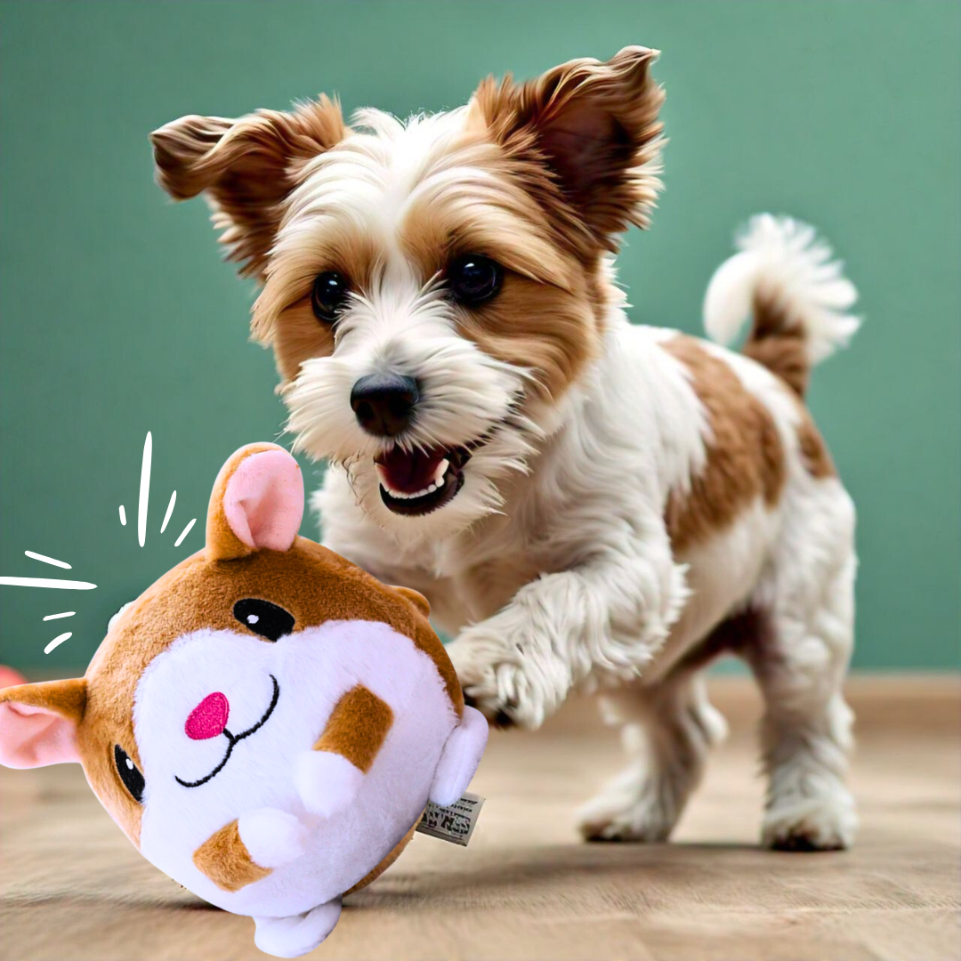 FluffyBounce™ - Pet Toy