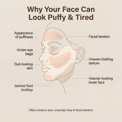 Lymora-Lymphatic Face Brush